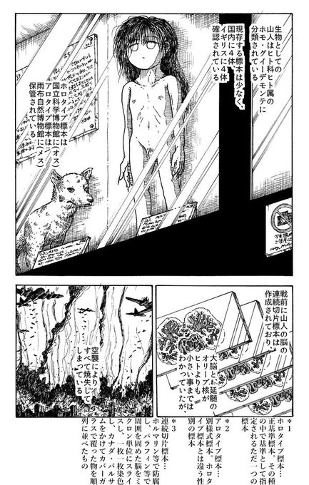 詩野うら 偽史山人伝 発売中 Kurumayoi さんの漫画 40作目 ツイコミ 仮