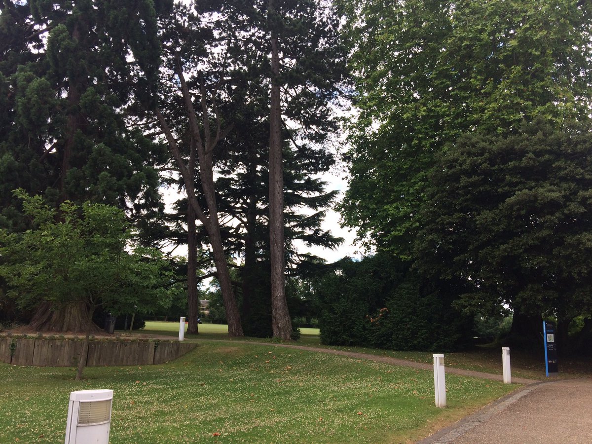 drlvfreeman's tweet image. Lush green campus. Meeting with colleagues from @UniSouthWales and @uniofglos to find out about implementing #learneranalytics