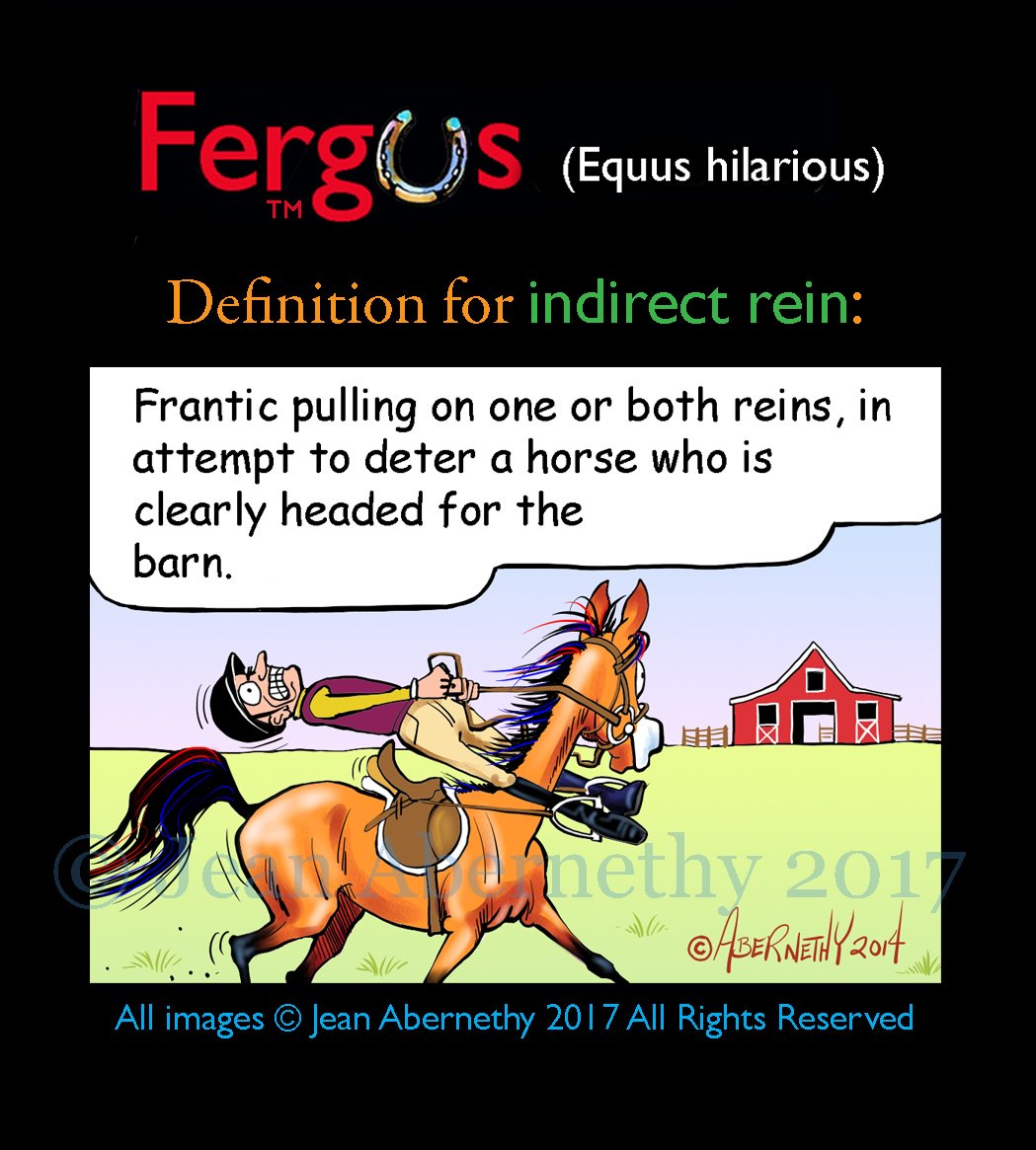 Fergus The Horse On Twitter Are You Following Fergus On
