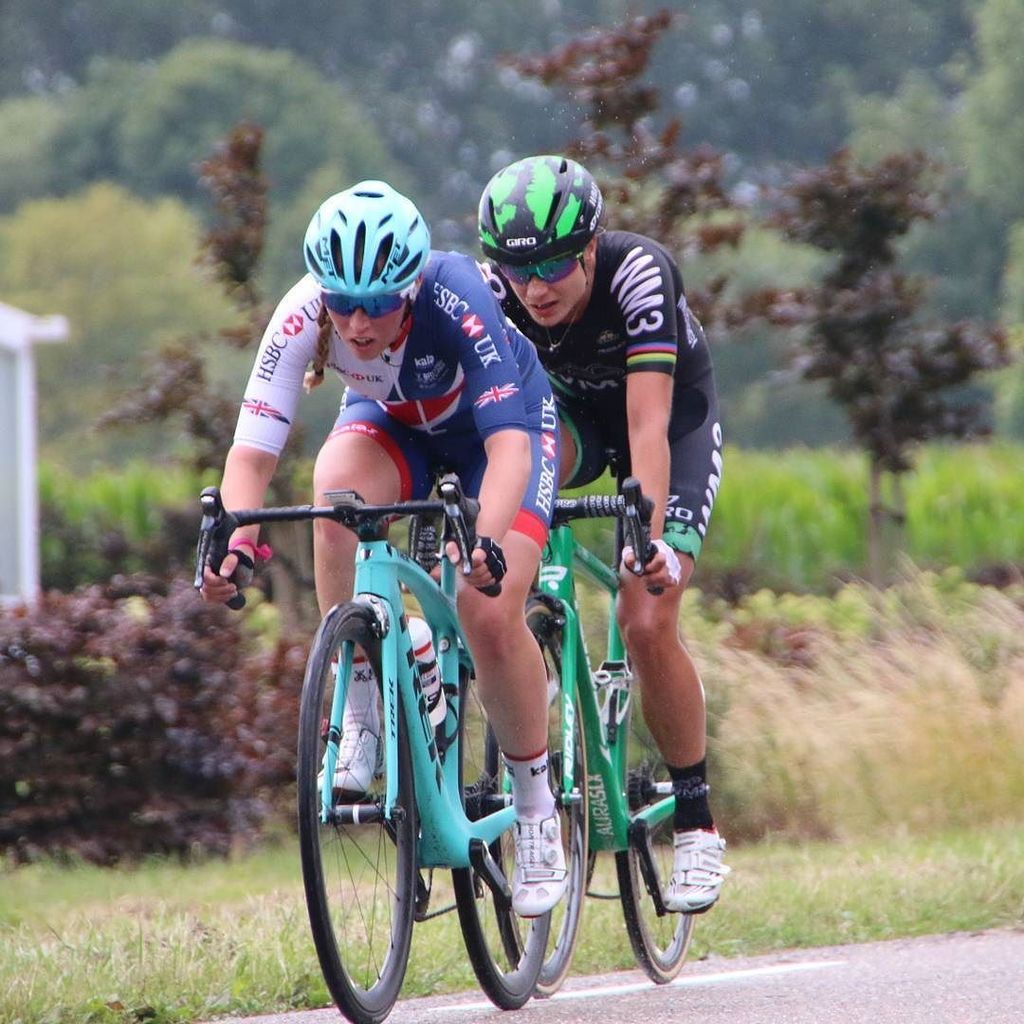 алиса скушала лису