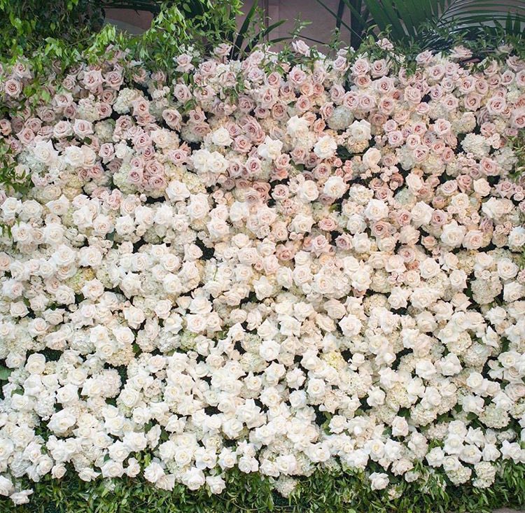 #FloralWall goals 😍
Get this wall for your #Photobooth idea with #PlatinumWeddingWorld ♥️
#IndianWedding #Wedding #GrandIndianWedding