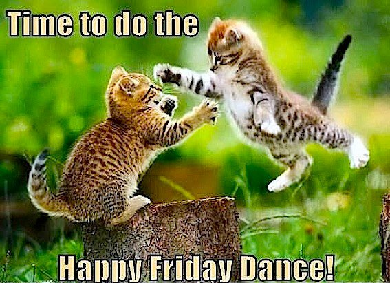 MoipakiMasego's tweet image. Let&apos;s dance.💃