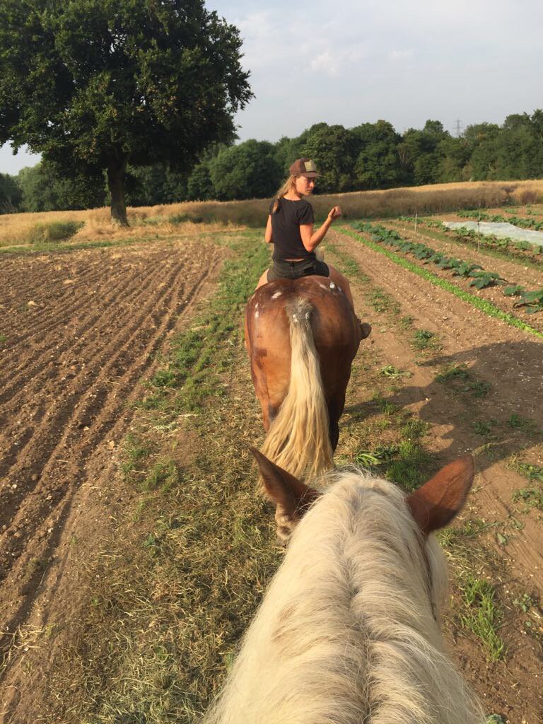 calixta killander (@flourishproduce) on Twitter photo 