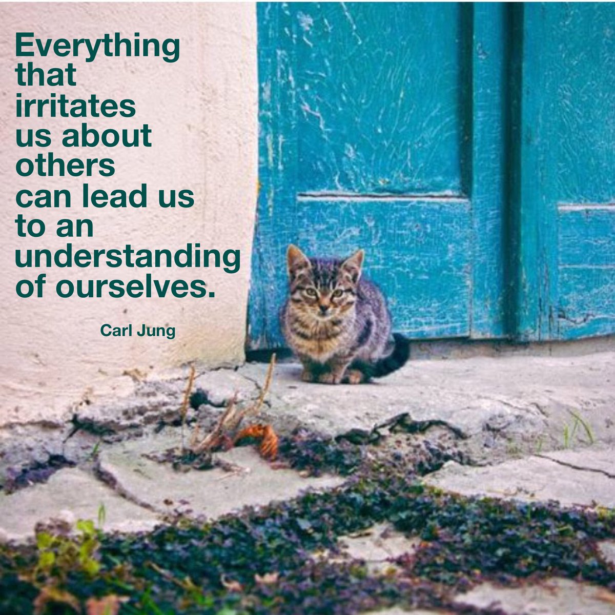 MurrieTorrelio's tweet photo. Everything that irritates us about others can lead us to an understanding of ourselves. #carljung #selfreflection https://t.co/90D93QRzxX