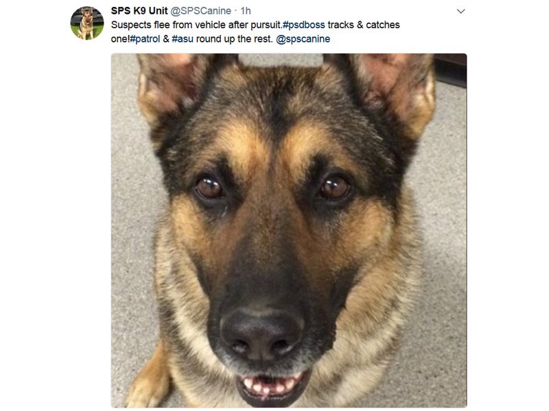 Evading Police Incident Leads to Five Arrests dlvr.it/PVd10R https://t.co/sLrdsNK7an