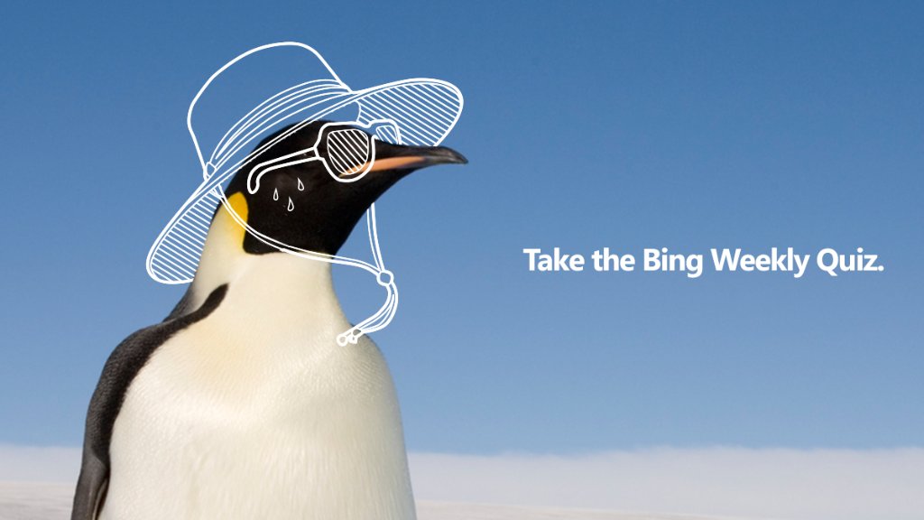 If it gets any hotter, he may need to shed his tux. Get the story http://www.bing.com/search?q=bing%20trends%20quiz&FORM=MH14G1&OCID=MH14G1&wt.mc_id=MH14G1 #BingSearchTrends quiz