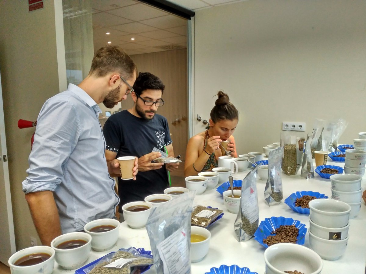 MareTerraCoffee's tweet photo. Discussing about our new seasonal coffees.... more info about it soon☕😉
#cuppingtime #specialtycoffee #greencoffee #coffee #HappyFriday https://t.co/DgnF5jOfPA