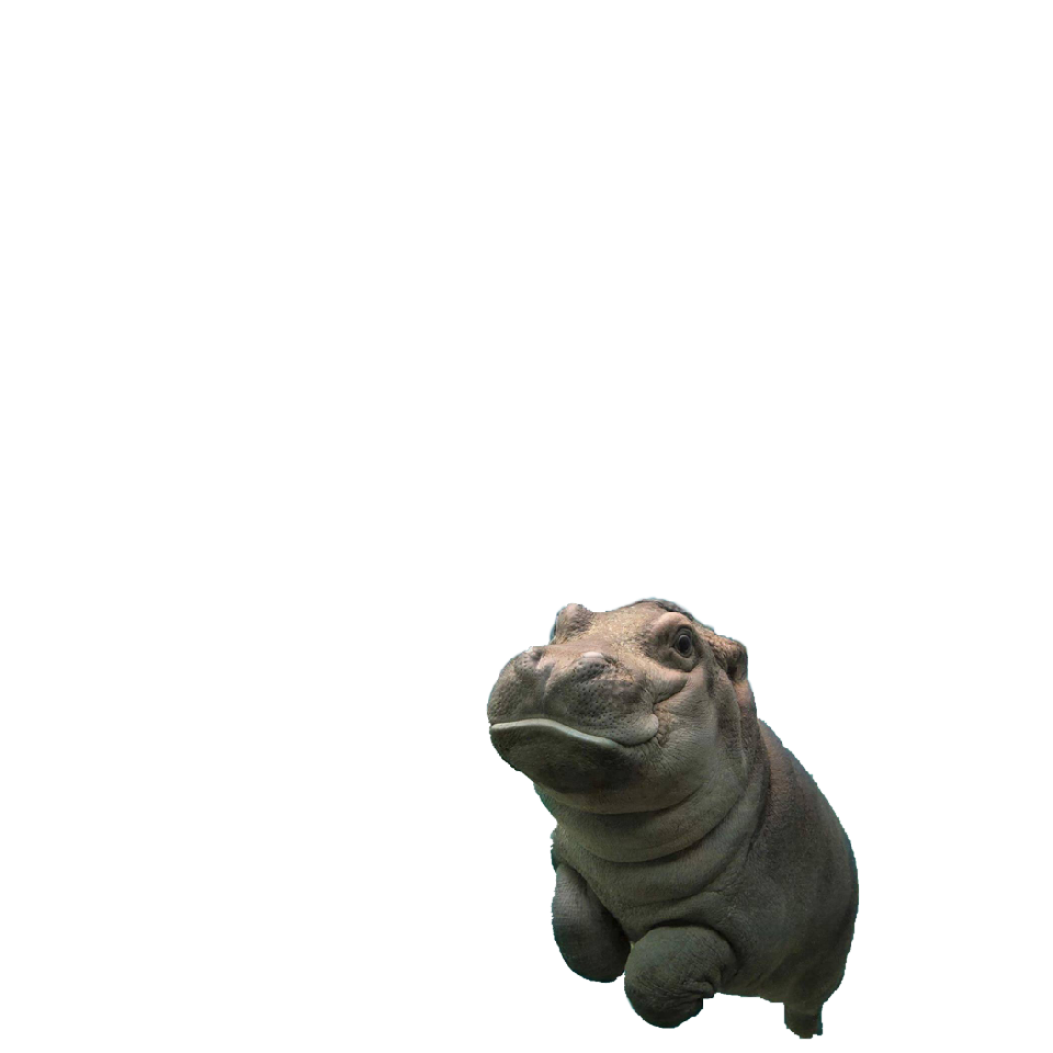 joeltyler_'s tweet image. Click to open &amp;amp; swipe up to make bby hippo fly