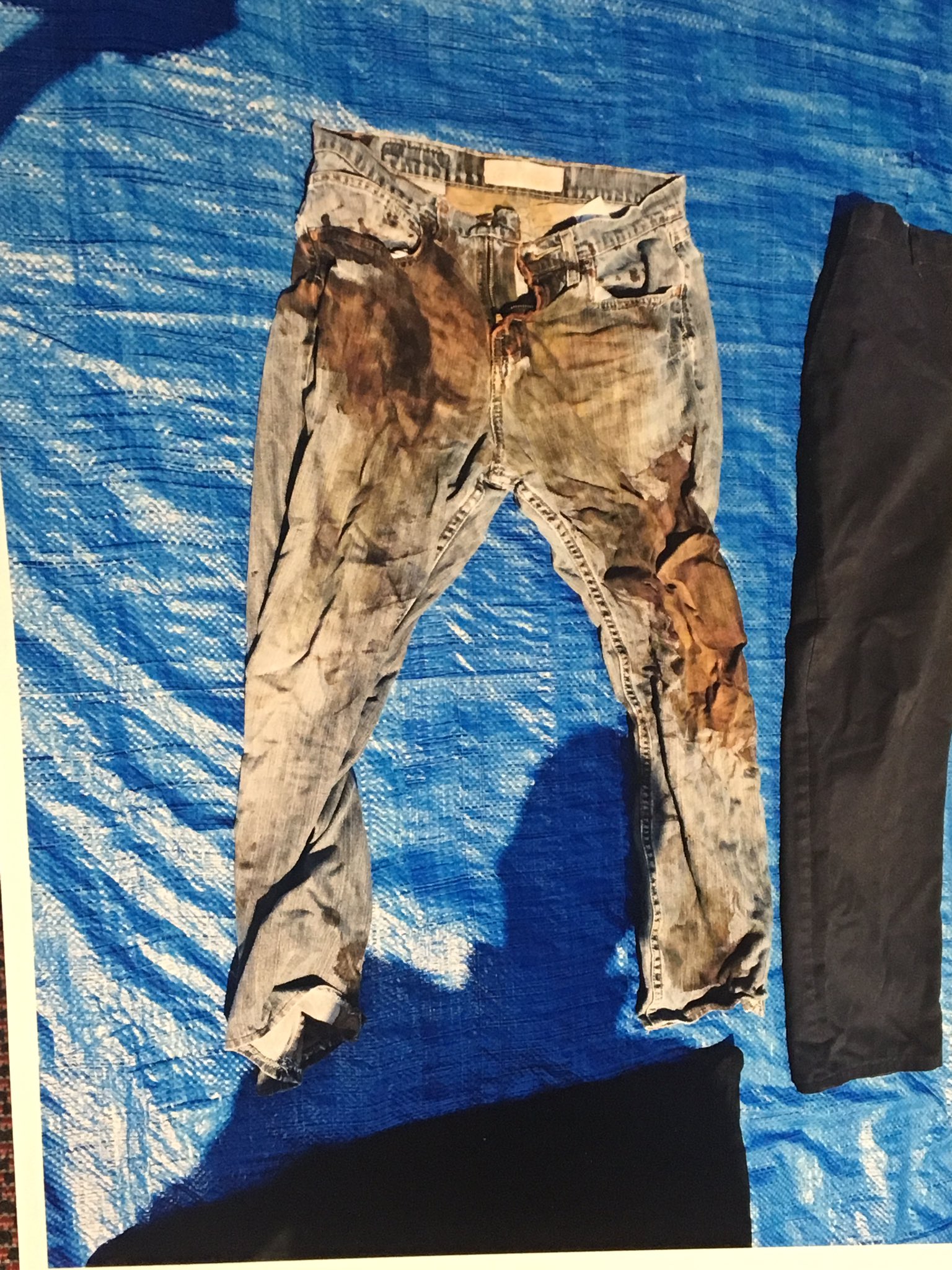 Solina Lewis on X: Kish testifying about blood spatter on jeans w Colin's  DNA inside the pants angle suggests someone was wearing them when blood got  on them.  / X
