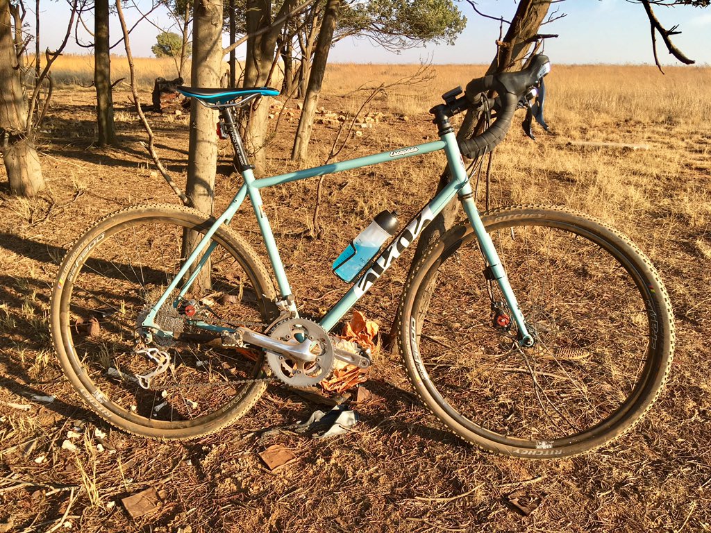 Christiaan Steyn tweet media