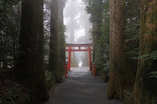 archillect's tweet image. 