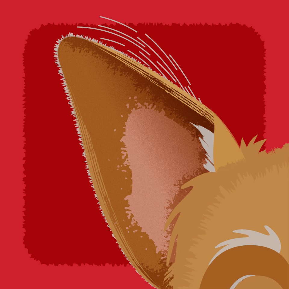 brennerhospital's tweet image. Did you hear? The Brenner Children’s Hospital family is growing. Only 4 more days till the big reveal!