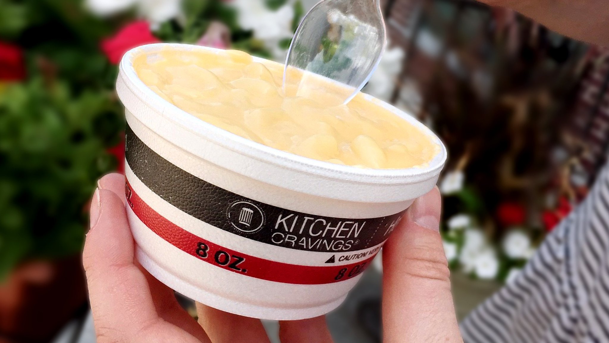 Kwik Trip on Twitter "When cheese gets its picture taken, what does it