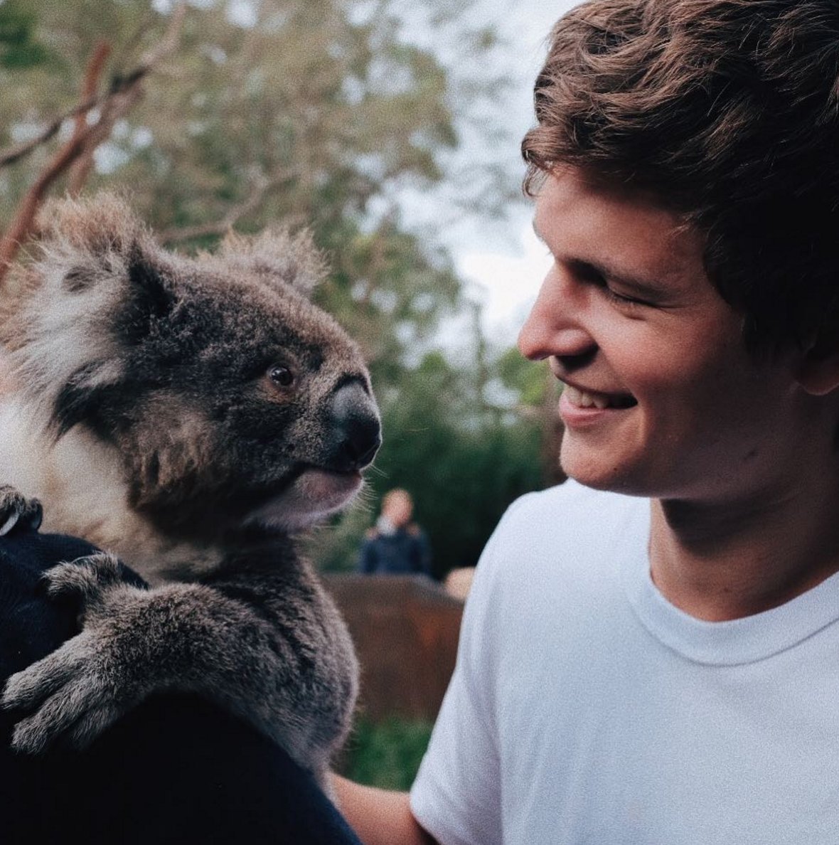 MTV's tweet photo. These are some koala-ty photos, @AnselElgort 😜 https://t.co/iXh60UY3Kp