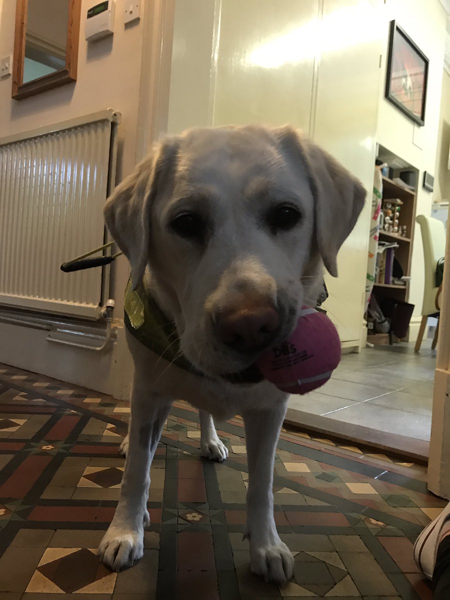 Mayne and Hope Stokes tweet media