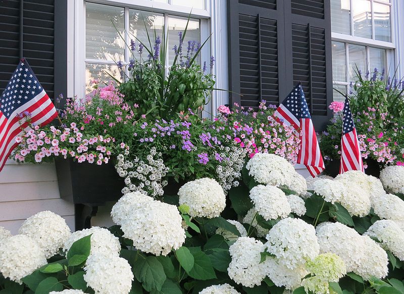 GracieDeale's tweet image. What to do in Martha's Vineyard #islandguide #innerbloom inner-bloom.com/2017/07/14/wha…