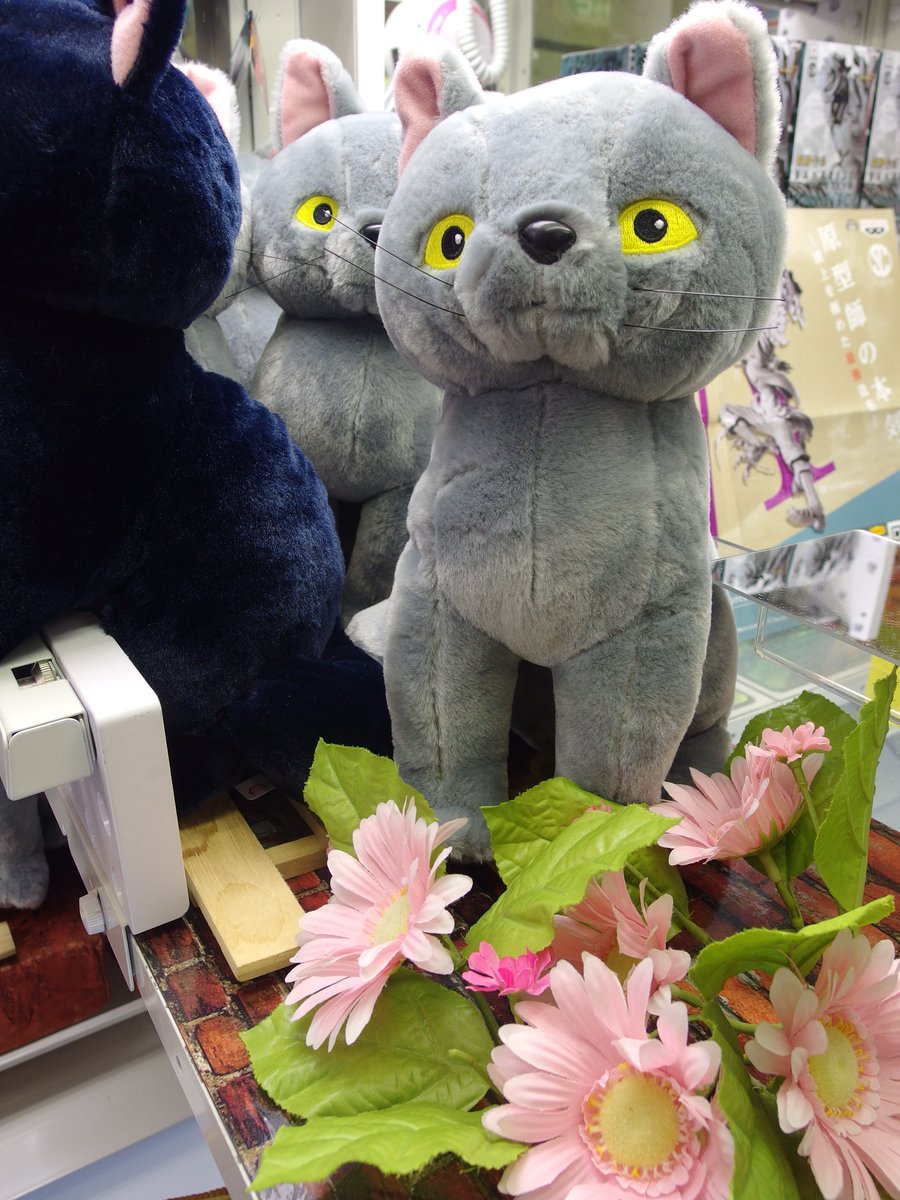 e➕メアリと魔女の花➕　ギブ　ぬいぐるみ Amazon.co.jp: メアリと魔女の花 ティブ ギブ BIGぬいぐるみ 2種