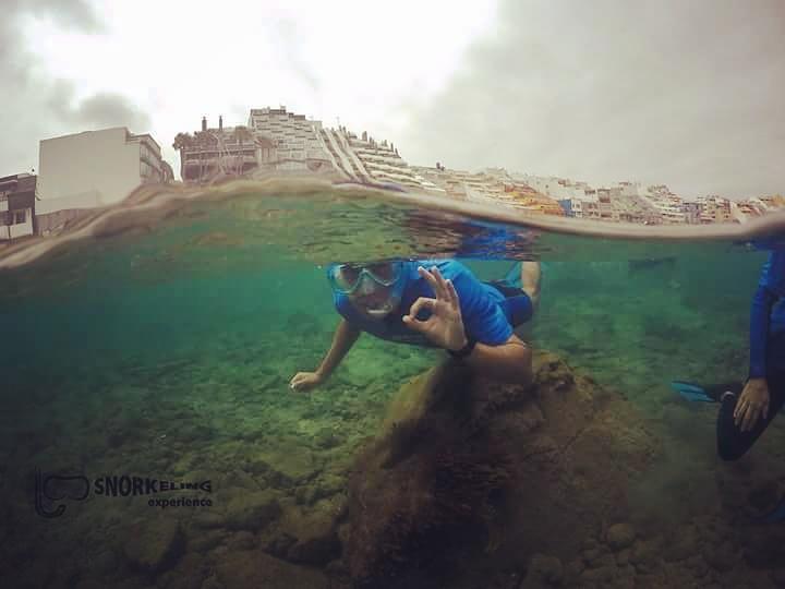 SnorkelingExpe's tweet photo. Lpa Juventud 2 https://t.co/UT94imlda3