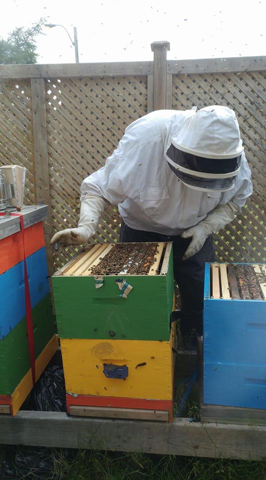 FamilySOS's tweet image. Join us for a hive check tomorrow morning in Spryfield at 9am! #BEEAhoney #hivecheck