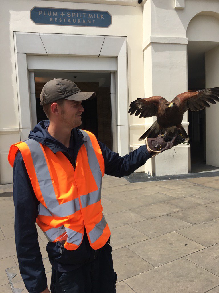 David Platt tweet media