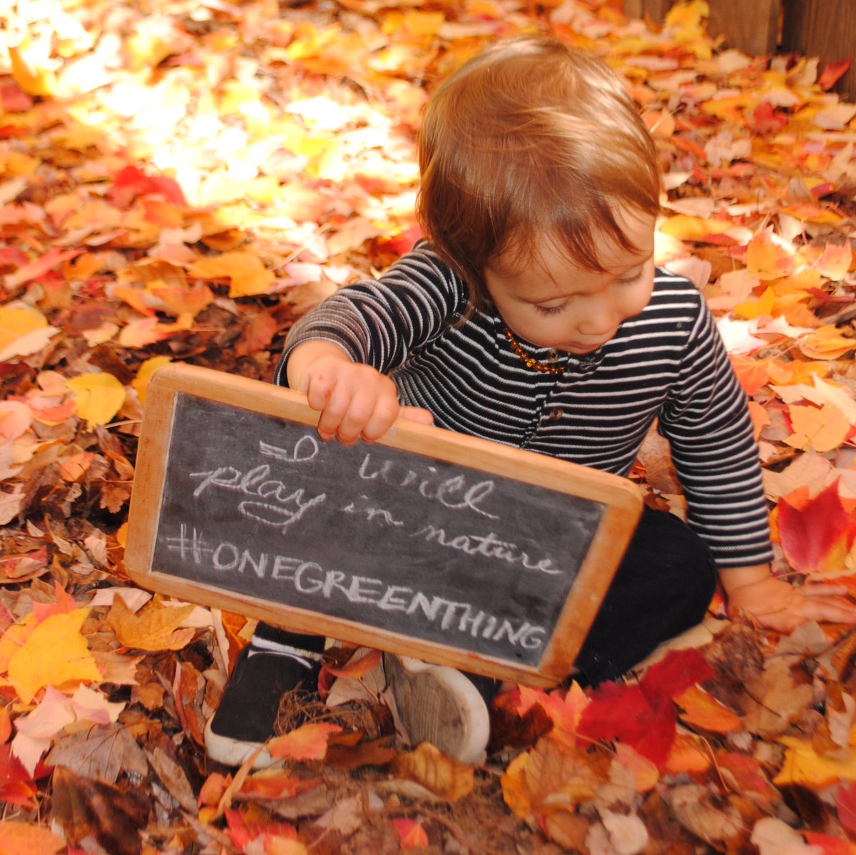 Daisy Simmons tweet media