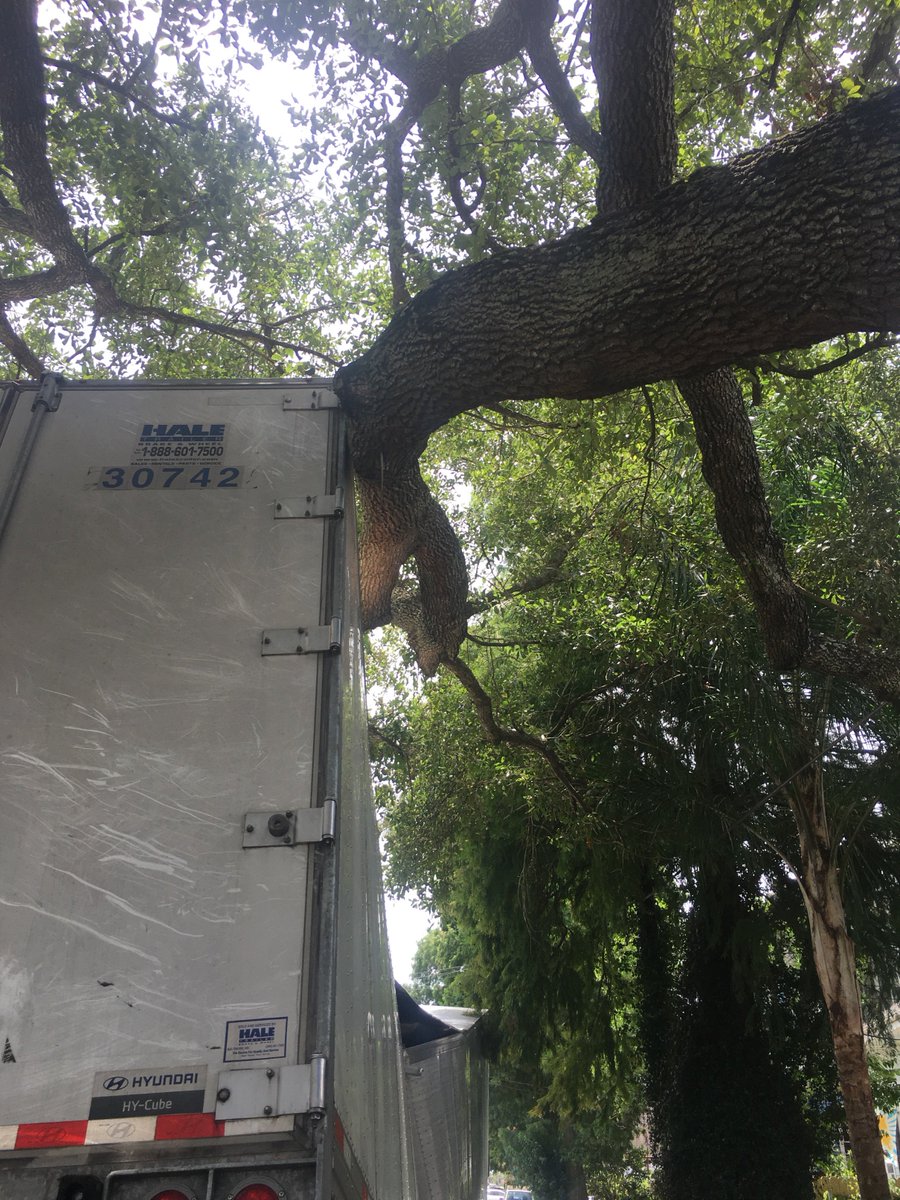 Kenny Lopez tweet media