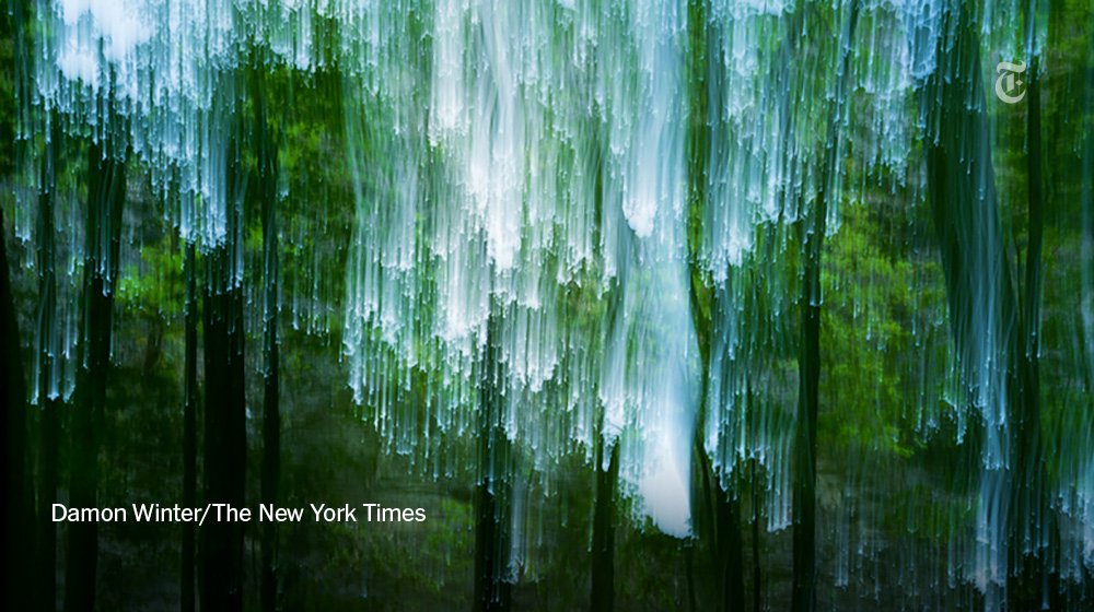 nytimes's tweet photo. "Let me read it a few more times and I might feel completely differently." On reading — and photographing — poetry: https://t.co/huUCdOmZGX https://t.co/yyKYwV8zes