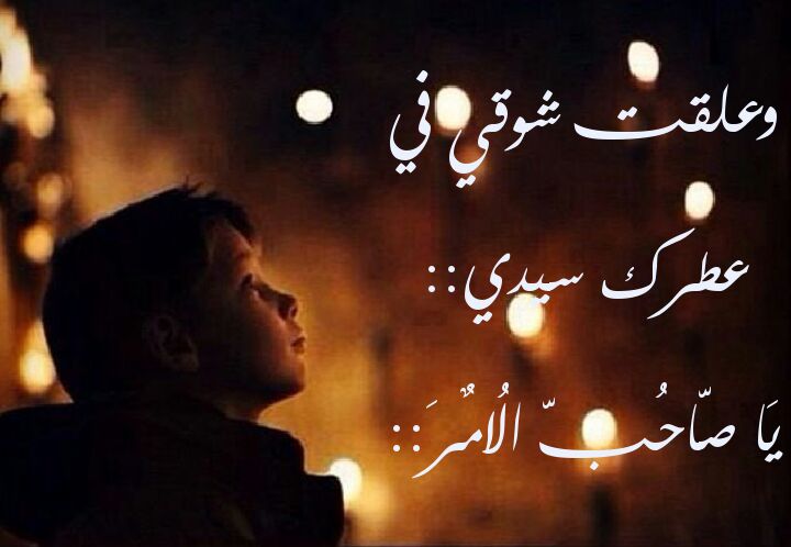 ┅┅┅┅ـ๘✾ৡ┅┅┅┅ 
إن لم يكن إنتظارنا لظهور الإمام ومجيئه ، إلا لحل مشاكلنا الشخصية ، سيكون هذا النوع من الإنتظارسطحيا للغاية !
┛┅┅┅┅ـ๘✾ৡ┅┅┅┅┗