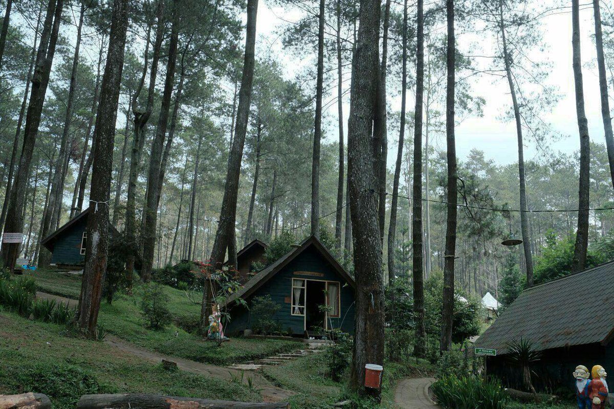 Rezim Panik >> instagram.com/p/BWi7gGrBPdu/…