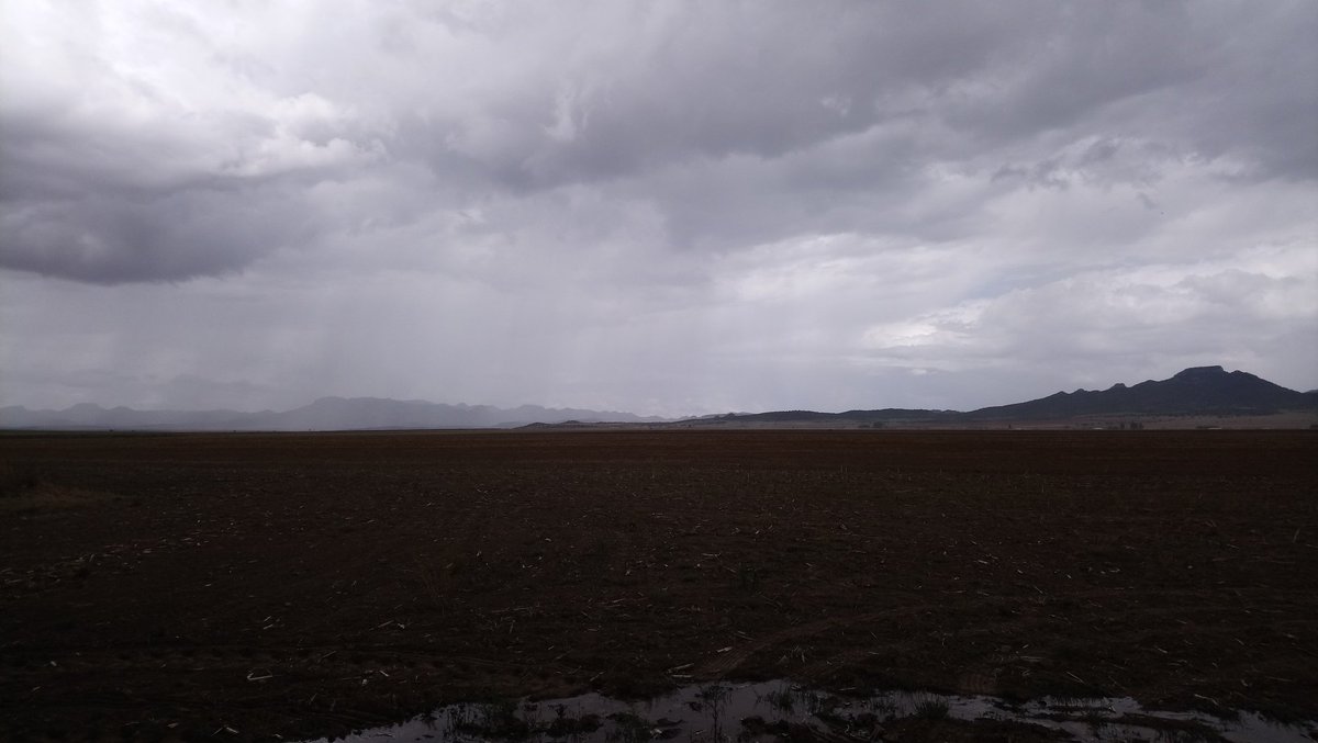 Not five minutes ago you could clearly see the mountains in the background, now you can't see all of them. They are disappearing. #rain