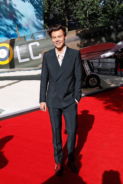 Harry Styles Brasil tweet media