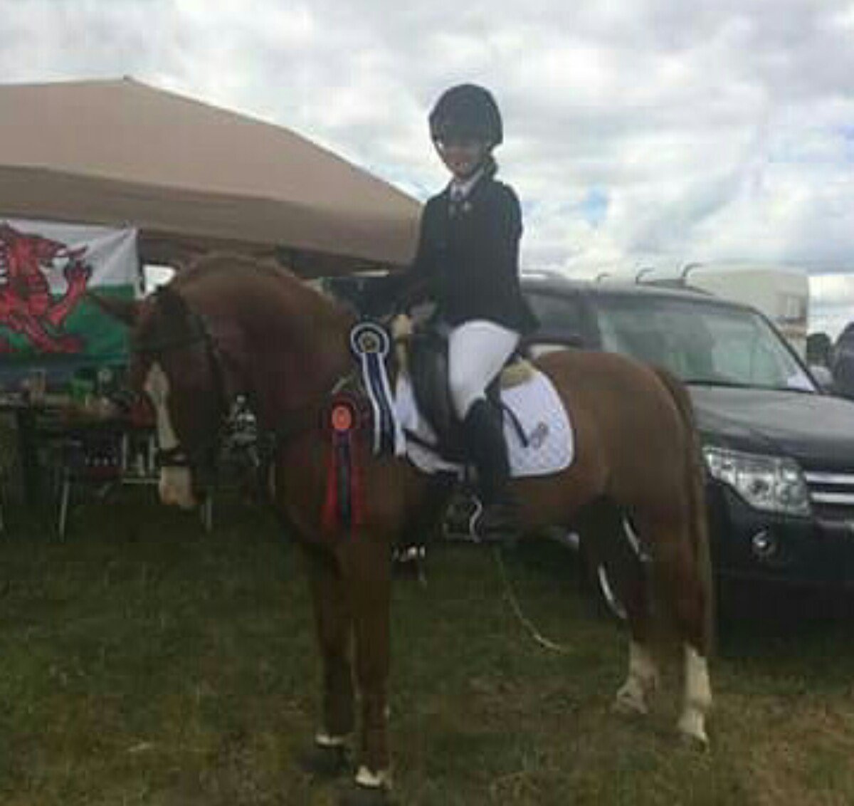 alys_warman's tweet photo. Well what a wonderful full time at barbury international horse trails coming away with a 4th and 8th https://t.co/8YfOMswXhQ