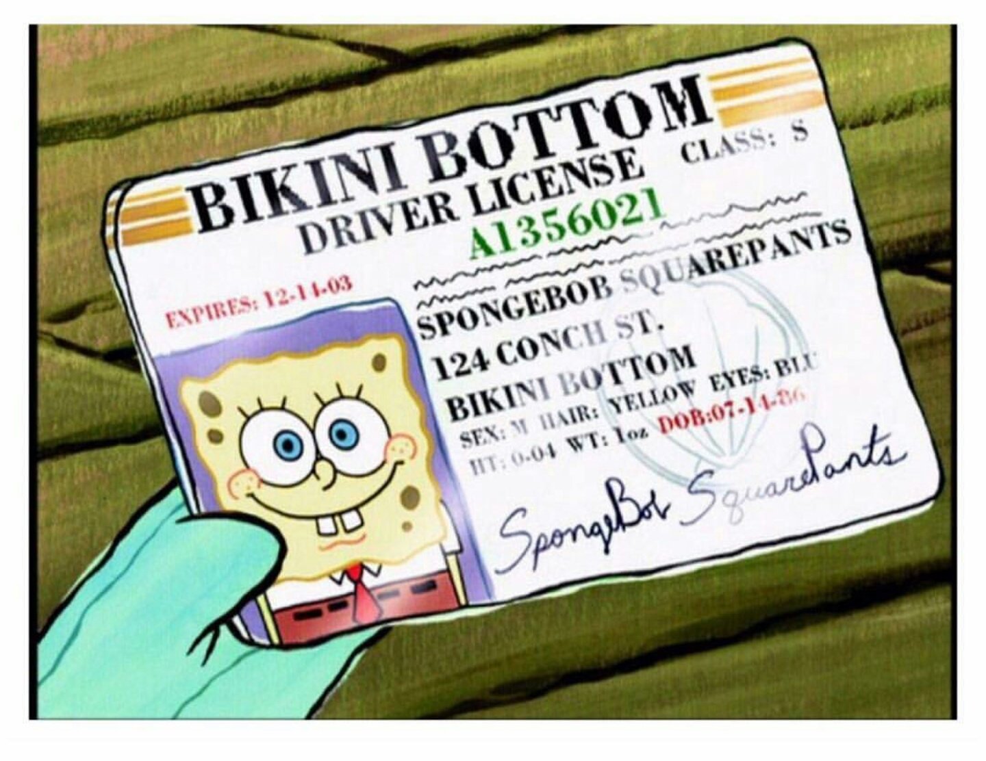 I just want to wish Spongebob Squarepants a very happy birthday  