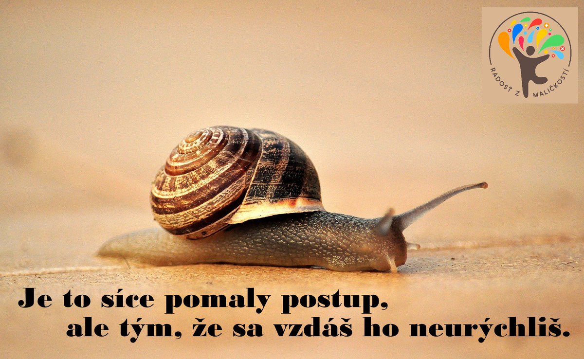 RadostMalickost's tweet photo. MALIČKOSŤ pohybu
Aj keď sa ti na prvý pohľad zdá, že nenapreduješ, nevzdávaj sa, ten pokrok príde
#radostzmalickosti #malickost #nevzdavajsa https://t.co/bQDKSGSWRg
