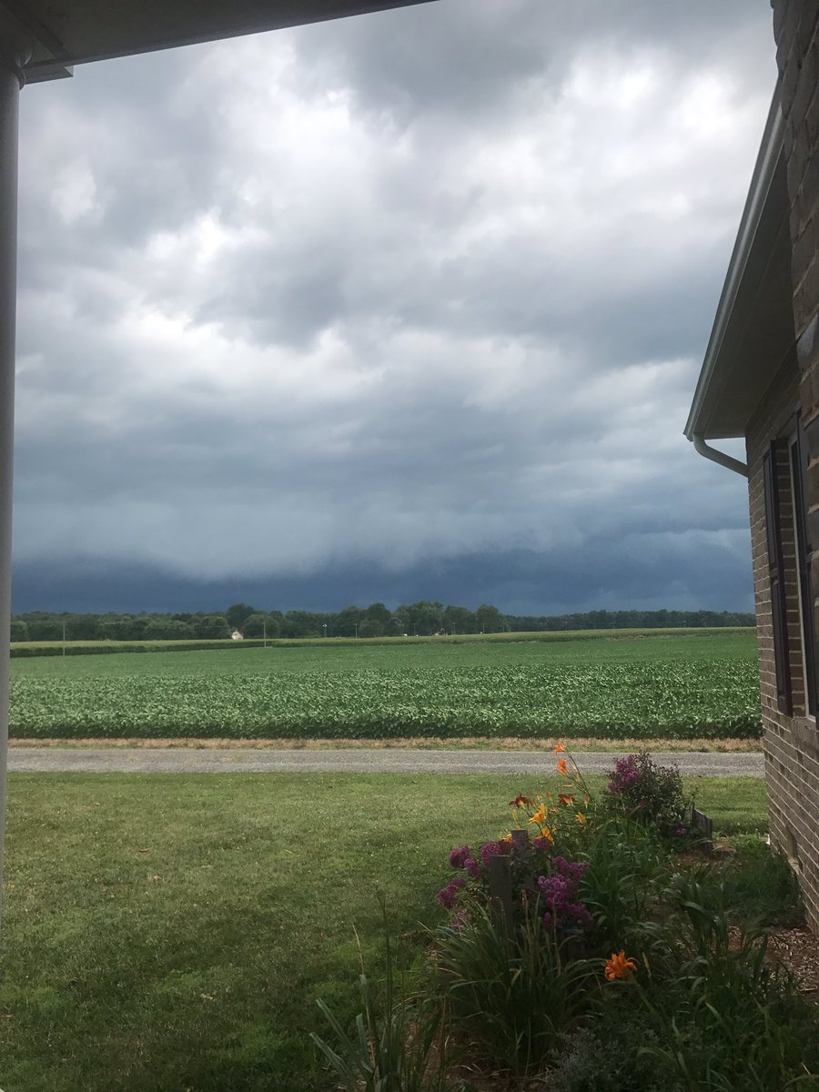 roeseed's tweet image. Storms a brewing let it rain on this @ChannelSeed