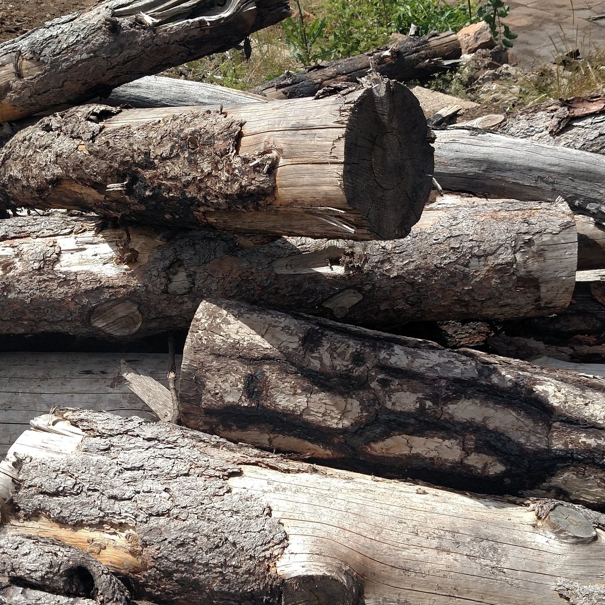 LakeLumber's tweet photo. Wood you look at that! It's finally time for the weekend. #TGIF #LakeCountyLumber #BadJoke https://t.co/5GfH4TXApw