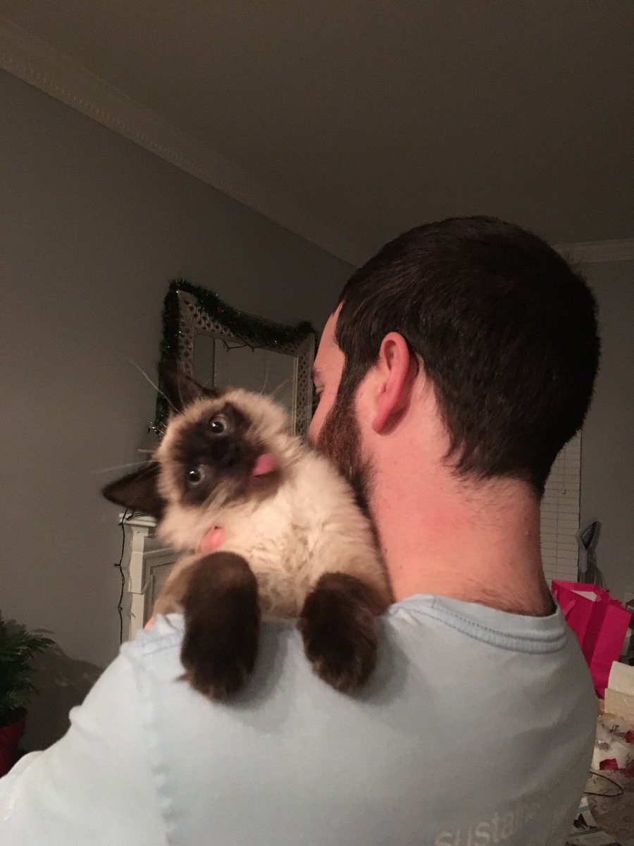 Sintonize sua Vibe (@sintonizevibex) on Twitter photo 