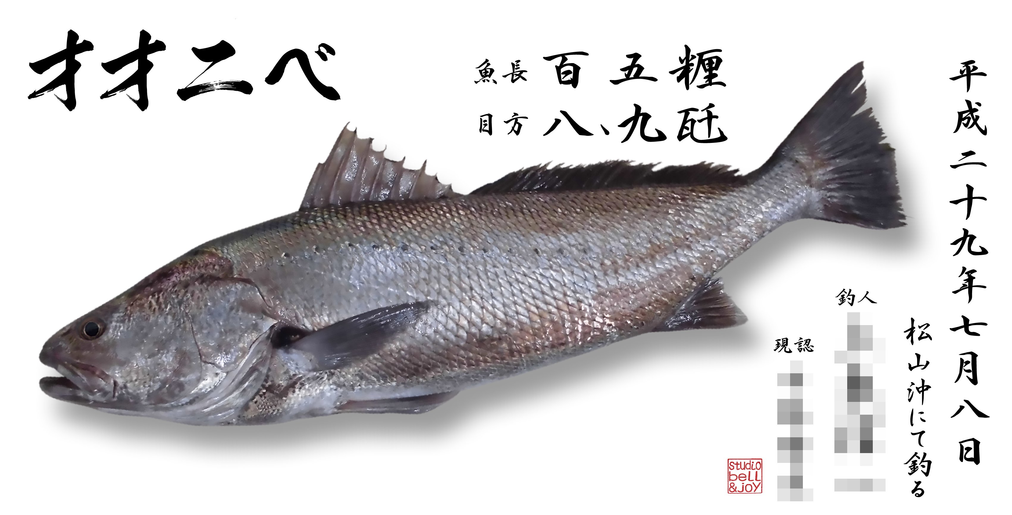 Twitter 上的 栗林拓也 Bell Joy 今回ご紹介するのは巨大魚 オオニベ 文句なしにデカイですs ﾟdﾟ 堂々とした風格があり 部屋の中に飾っていただくと それは素晴らしい迫力のあるデジタル魚拓ではないでしょうか デジタル魚拓 魚拓 オオニベ 巨大魚