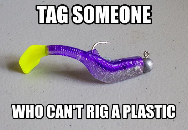 Fishing Central™ tweet media