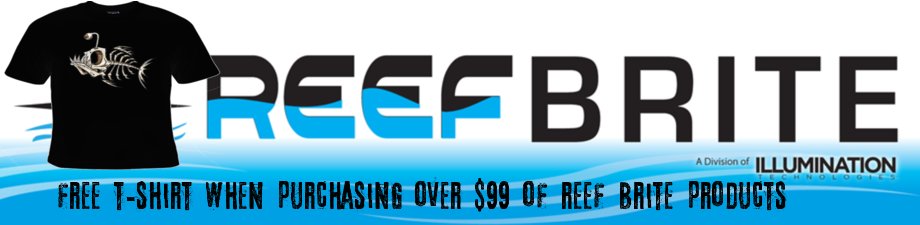 Primal_Reef's tweet image. #fishkeeping #saltwaterfish #reefbrite #aquarium #aquariums #aquariumhobby #aquariumhobbyist #aquamarine #marinelife #marinetank