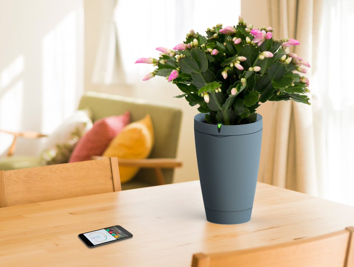 PasWordSecurity's tweet image. Check out this app that waters your plants for you. bit.ly/2tky93m #homesecurity #smarthome