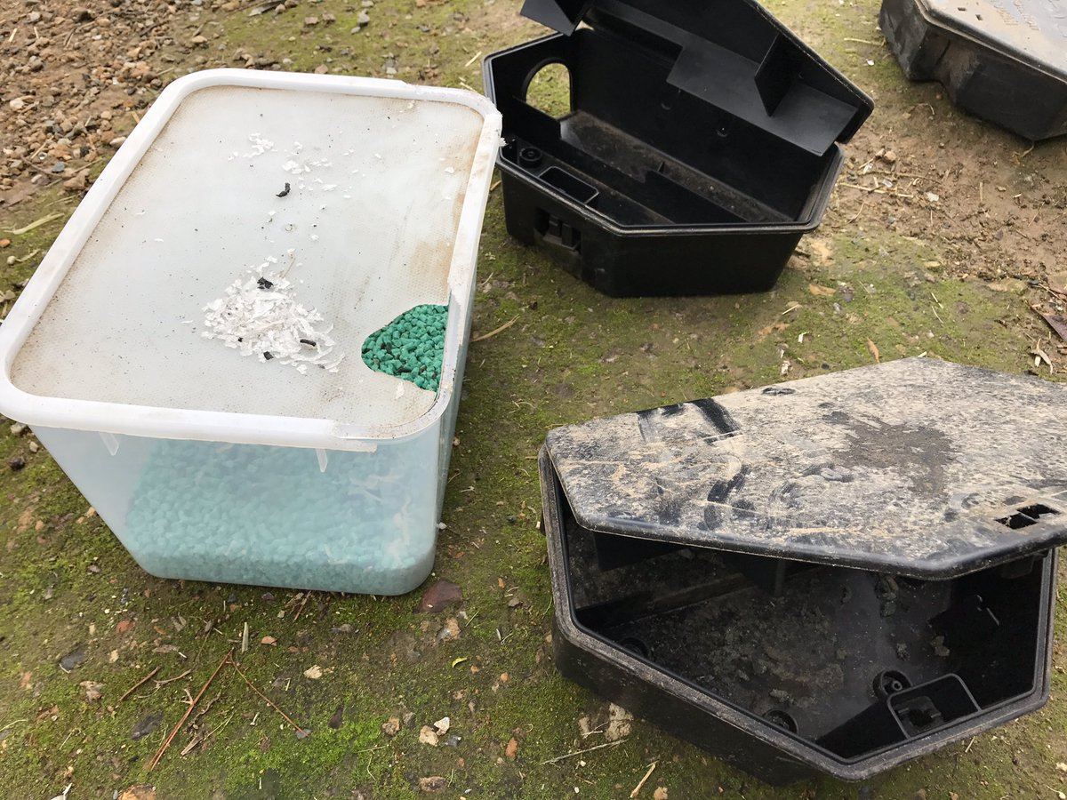 darrenbayer2015's tweet photo. #mousebait. Saturday job list. Top up bait traps. Looks like the hungry #rodent couldn't wait, ate through my lid! https://t.co/slsUuyoVnR
