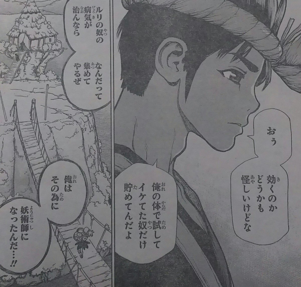 クレオ En Twitter クロム君はルリさんの病気を治す為に尽力していたのか 恋心があるのかどうかはまだよく分からないという匙加減 しかしクロムの頭脳なら毎日温泉を汲みに行くコハクの為に何か作ってやれたんじゃないかとは思うけどね 台車なり Drstone T Co