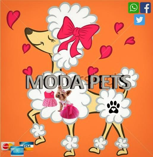 petss_moda's tweet photo. #Comunicado 01 de nuestra gerente general de #ModaPets Estefany Henriquez ante incidente.
https://t.co/4mRxRU9lI8 https://t.co/1CDIwJl8RB