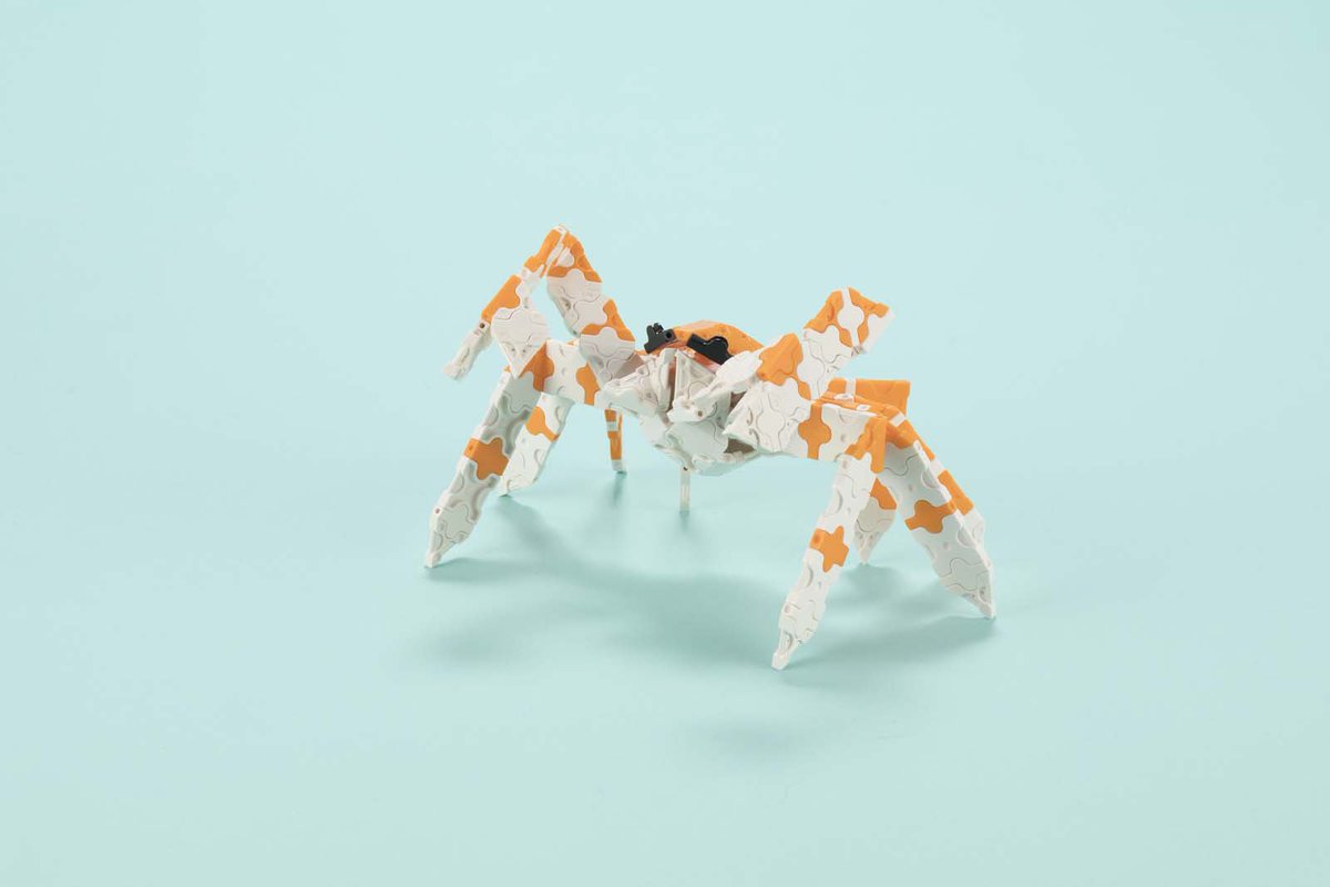 浅川直樹 Naoki Asakawa Laqマスター On Twitter Laq本こぼれ話その187 僕が作っているlaq 本には 常にちょっとした新しいテクニックをなるべく入れるようにしています Laq海のいきもの図鑑 でも 今までに紹介していない接続方法で作られたモデルがいくつか