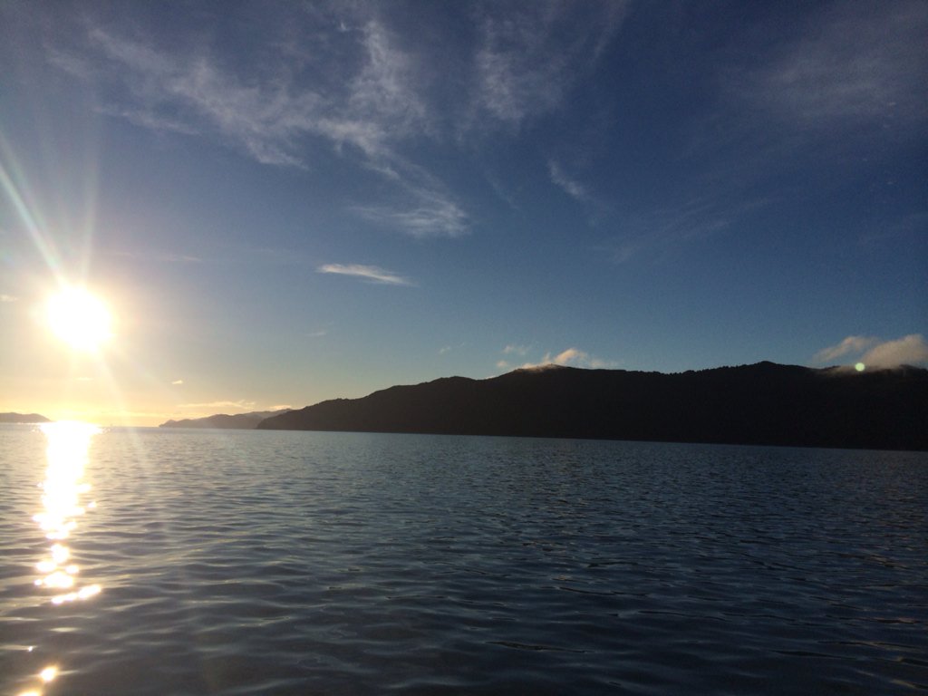 NelsonEventsBoy's tweet photo. Wow what a difference a day makes! #captaincookslanding #nelsonevents https://t.co/Mt1B6XlkSe