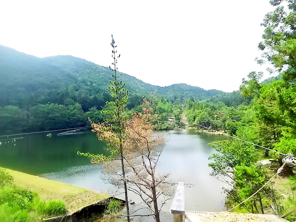 Cancelo 冒険の森inのせ No Twitter