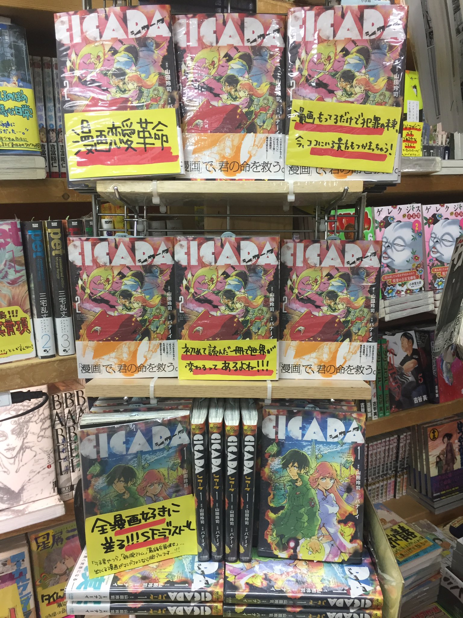 ヴィレッジヴァンガード下北沢 على تويتر コミック 山田玲司先生 バナーイ先生の漫画禁止の近未来作品 Cicada コーナー 実存する漫画多数登場とのことで一巻に出てくる漫画達もコーナーに一緒にございます 最終兵器彼女 うる星やつら ヴィレッジヴァンガード下北沢 على تويتر コミック 山田玲司先生 バナーイ先生の漫画禁止の近未来作品 Cicada コーナー 実存する漫画多数登場とのことで一巻に出てくる漫画達もコーナーに一緒にございます 最終兵器彼女 うる星やつら