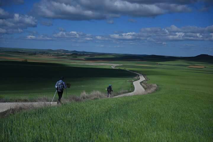 '사람을 구분짓는 것은 단 하나, 그가 무엇을 아름답게 여기는가'라는 말이 있다. 눈으로 보고 있고 알고 있는 것 같지만, 사실 의식도 못하고 지나가는 순간들이 얼마나 많은가. 하늘을 쳐다보는 것, 바람을 느끼는 것....