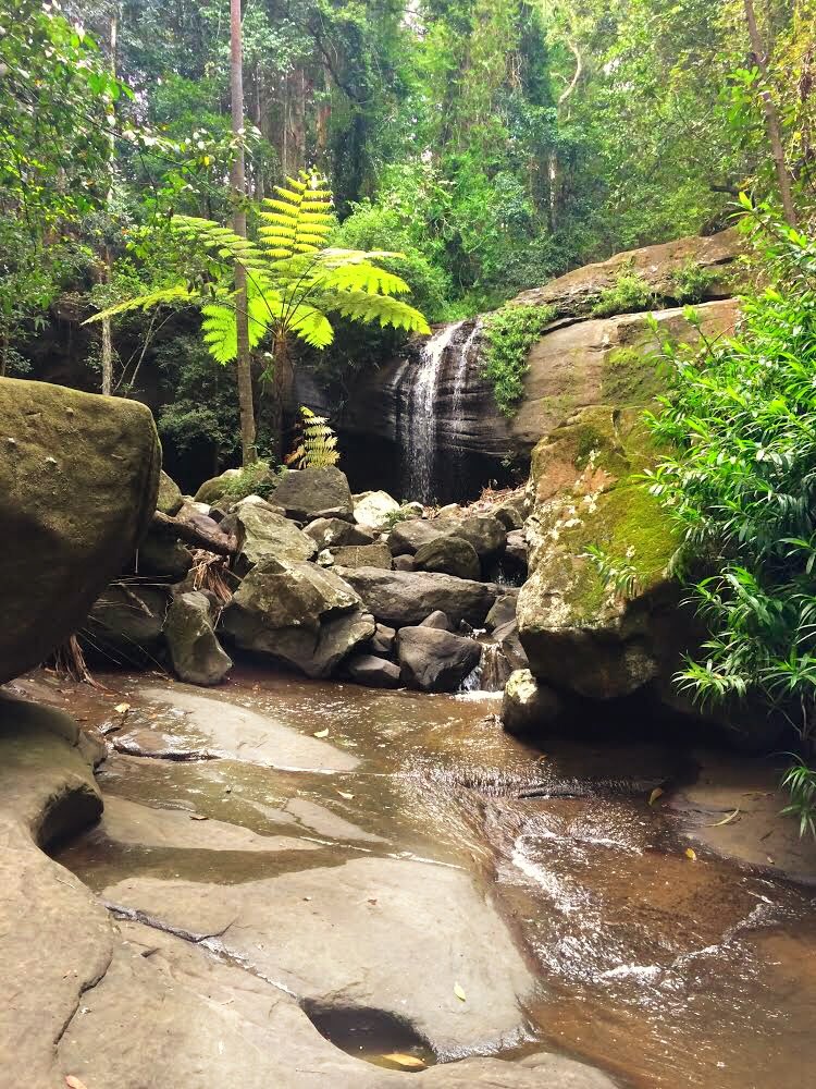 PassportTrips's tweet photo. What would be your perfect Australian Getaway? 
🏖🍃☀️🏙
@Australia 
#travel #explore #adventure 
https://t.co/HXUjZ1sCns https://t.co/jf40cTJwW6